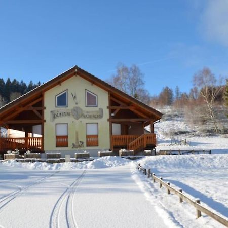 Le Chalet Du Bucheron Gérardmer Exterior photo